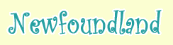 Newfoundland Musical Tours